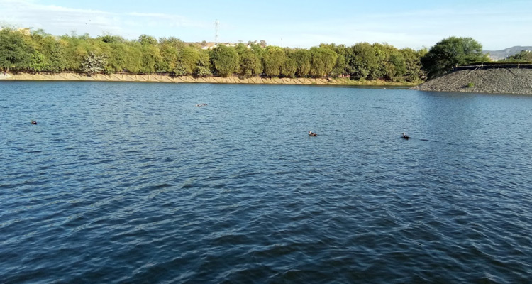 Katraj Lake